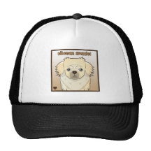 Tibetan Spaniel Cartoon Hats
