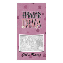 Tibetan Terrier DIVA Customized Photo Card