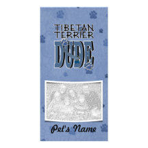 Tibetan Terrier DUDE Picture Card