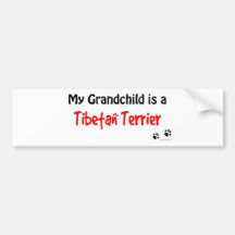Tibetan Terrier Grandchild Bumper Stickers