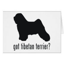 Tibetan Terrier Greeting Cards