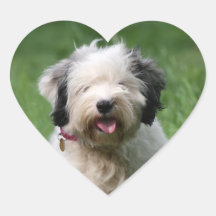 tibetan terrier heart stickers