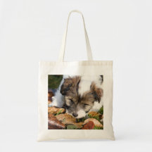 Tibetan Terrier puppy Bag