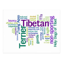 Tibetian Terrier Postcards