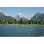 Tidal Pool and Spruce photo sculptures