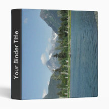 Tidal Pool and Spruce Vinyl Binders