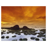 Tidal pools at sunset flyers