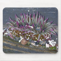 Tide Pool Beauty Mousepad