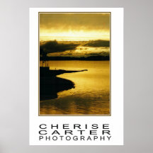 Tide Pool Posters