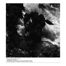 Tidepools and Stumps, by Ansel Adams posters