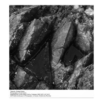 Tidepools, Bodega Station by Ansel Adams posters
