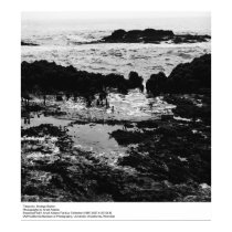 Tidepools, Bodega Station by Ansel Adams posters