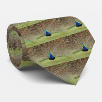 Tie with Peacock Design