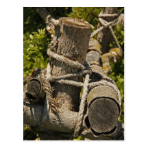 Tied Up Postcards