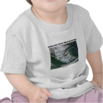Tierra Del Fuego Chile/Argentina (Picture Earth) T Shirt