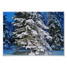 Tiers of Snow 7x5 Photographic Print