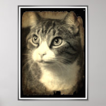 Tiffany Print