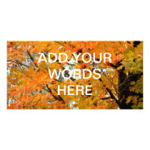 Tifft Nature Preserve - Fall Foliage Photo Greeting Card