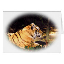 Tiger_1001 Greeting Card
