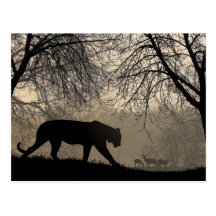Tiger and Deer Postcard
