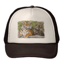 Tiger and the Buddha Hats