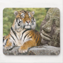 Tiger and the Buddha Mouse Pad