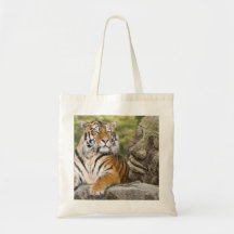 Tiger and the Buddha Tote Bag