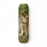Tiger_Aroara004 Custom Skate Board