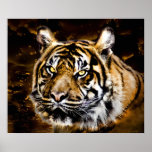 Tiger Art Exotic Print - Big Cat Print "Ferocity"