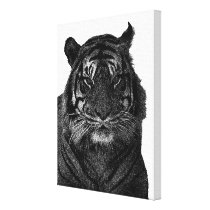 Tiger Art in Black and White canvas prints
