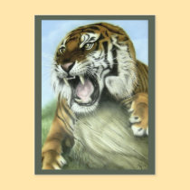 Tiger Art postcards