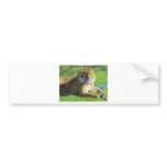 tiger at the zoo bumper sticker