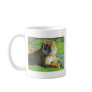 tiger at the zoo coffee mugs