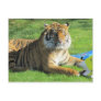 tiger at the zoo post card