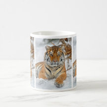Tiger Beauty in Snow Coffee Mug