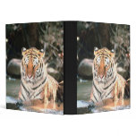 Tiger 3 Ring Binder