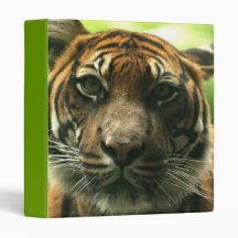 Tiger Binder