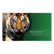 Tiger Business Card Templates