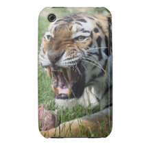 tiger iPhone 3 Case-Mate case