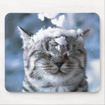 Tiger cat with snow dropping on his head mouse pad