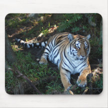 Tiger-China-Doll-b-5 Mousepads