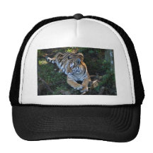 Tiger-China-Doll-b-6 Hats
