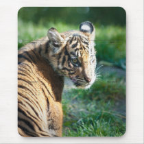 Tiger Cub Mouse Pads