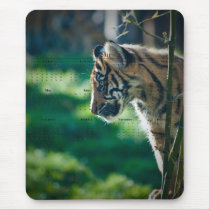 Tiger Cub Mouse Pads