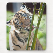 Tiger Cub Mouse Pads