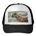 Tiger cub trucker hat