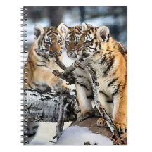 Tiger Cubs At Play Wildlife Lovers Notebook