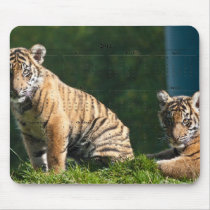 Tiger Cubs Mouse Pad