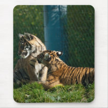 Tiger Cubs Mousepad