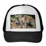 Tiger cubs trucker hat